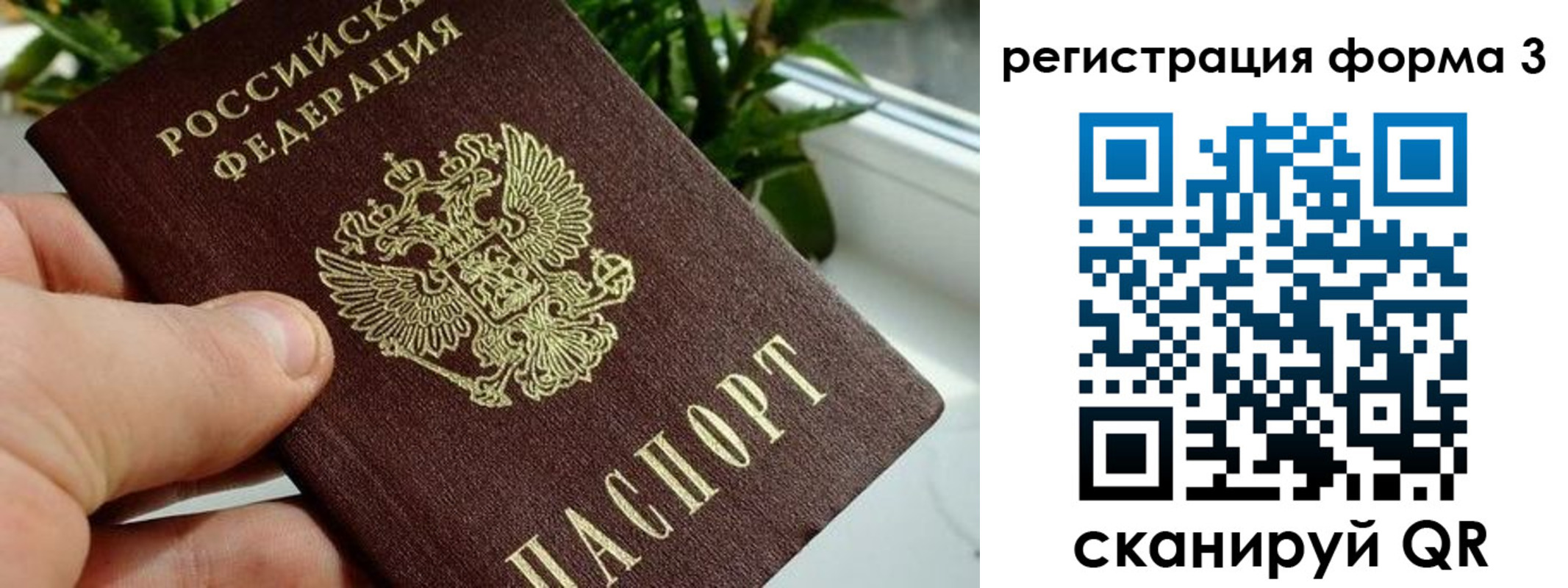 прописка штамп в Кандалакше